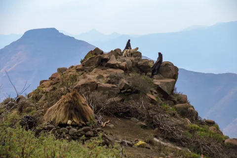 Things to Do & See | Ramabanta Trading Post